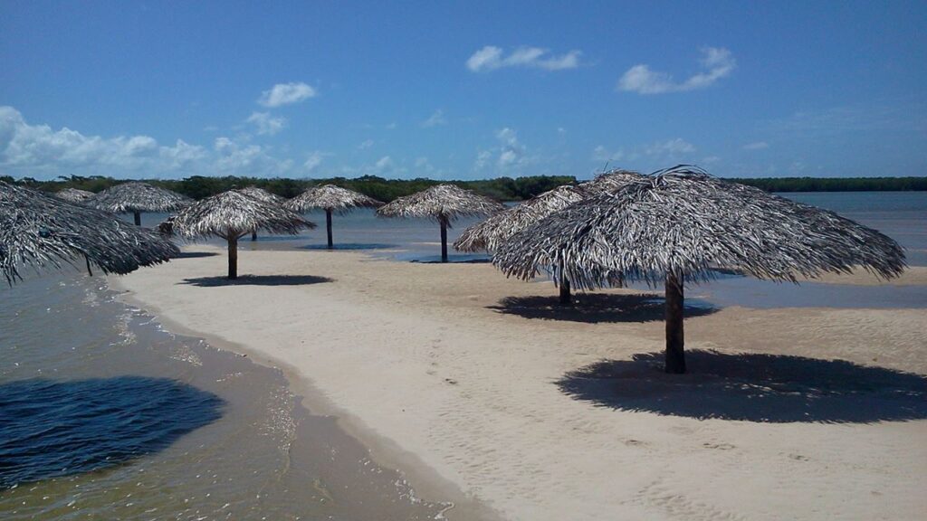 Banco de areia da Croa do Goré, em Aracaju, Sergipe, com guarda-sóis de palha, águas calmas e paisagem natural cercada por manguezais.