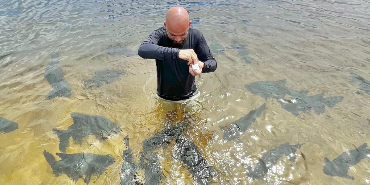 Lagoa dos Tambaquis em Aracaju: turista alimentando tambaquis em águas cristalinas durante passeio ecológico em Sergipe