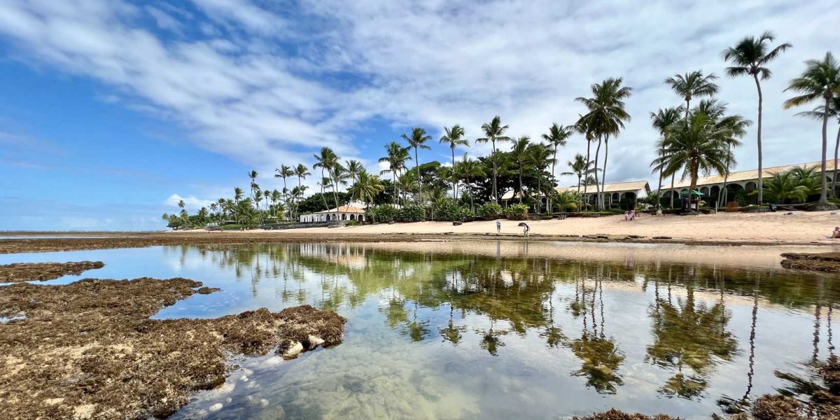 Praia do Forte na Bahia com coqueiros, piscinas naturais, águas calmas, areia clara e reflexo da paisagem no litoral nordestino.